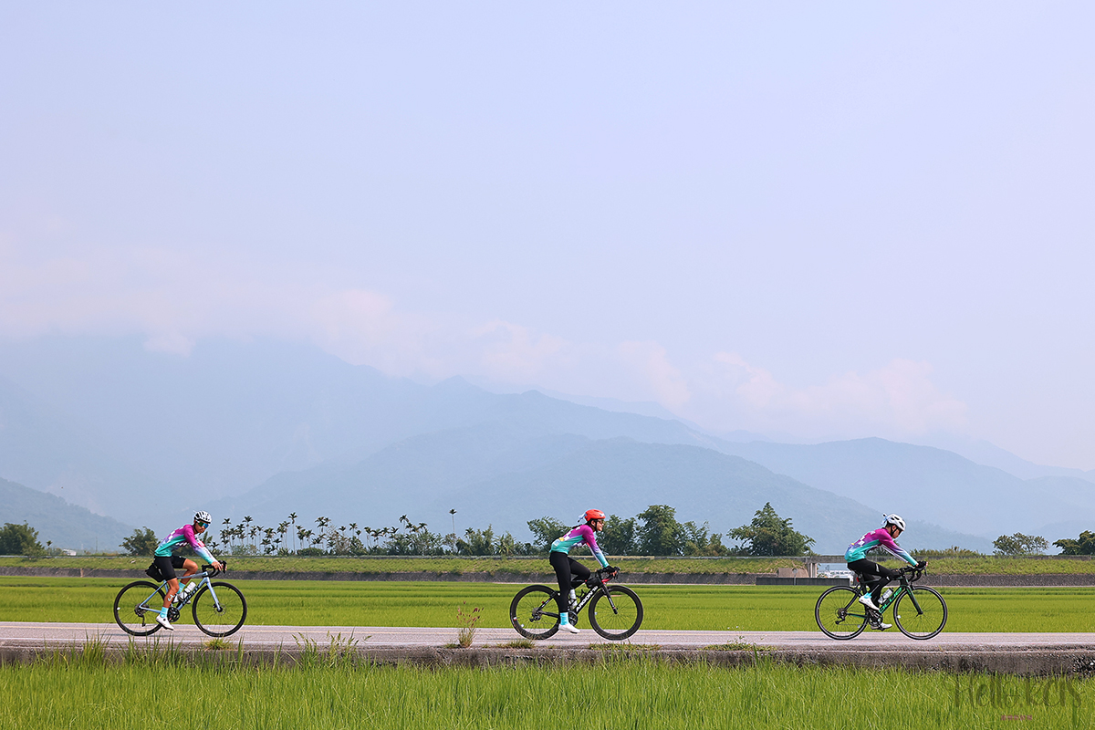 2026秀岡校區DAY4—築夢康橋壯遊臺灣