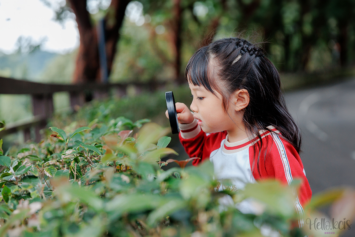 康橋幼兒園用五感守護好奇心，「玩」出孩子的思考能力與韌性